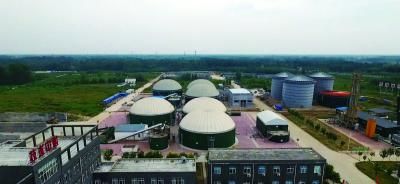 China Pure Straw Biogas Septic Tank Natural Gas Cellulose Hydrolysis Process For Vehicle for sale