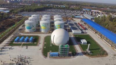 China 33000 Nm3 / D Home Biogas Digester Double Enamel Coating Customized Color for sale