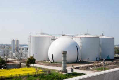 China Chicken Manure Biogas Digester 2MW Capacity Spherical Cylindrical / Shape for sale