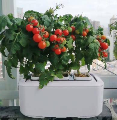 China Modern Hydroponic Indoor Grow System Solar Garden Sets for sale