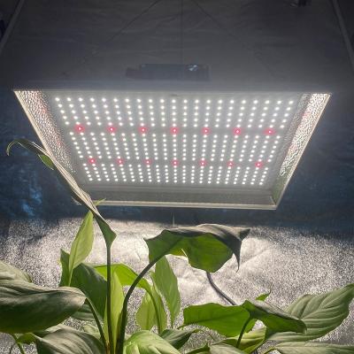 China Seed Starting BLE Good Performance Led Grow Light 100w 200w 300w 600w Full Spectrum Led Lighting Dimming Grow Lamp for sale