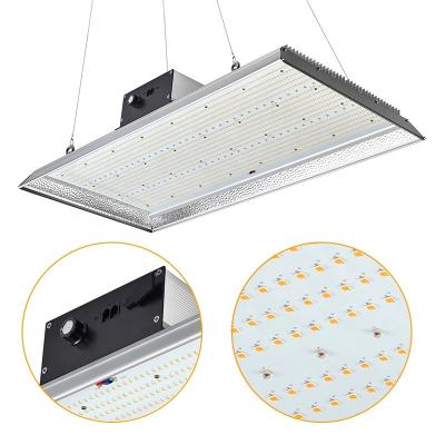 China High Efficiency And Easy To Install New Hot Sale 200w 240w 400w 600W 288 Brave QB288 Troops PCB Board Grow Light Led Board Grow Light for sale