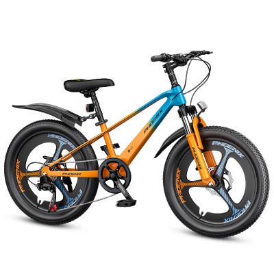 China 18/20/22 Inch Steel Children's Mountain Bike Entertainment Sports Bicycle Mountain Bike Cycling For Children 18/20/22 Inch for sale