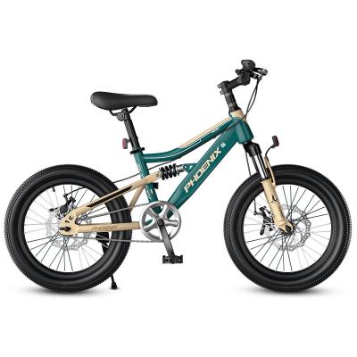 China OEM Steel Kids Mountain Bicycle 6-15 Years Old 18