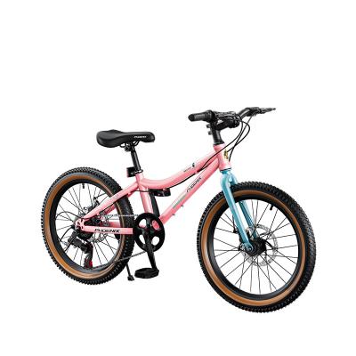 China Wholesale Steel Mountain Bicycle Kids Cool Sport MTB 18 20 Bike For Kids for sale