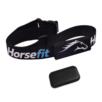 China Ring Horse Heart Rate Tracker Device Monitoring Heart Rate Strap Horse Heart Rate Sensor Monitor for sale