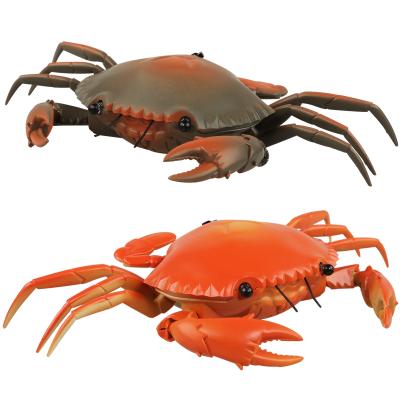 China RC Hobby Kids Radio Control Plastic Animal Toy RC Toy Prank Toy Crab /Scorpion/Frog for sale