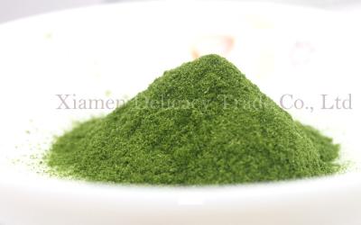 China Green Healthy Freeze Dried Food / Freeze Dryed Vegetable Spinach Powder 60 Mesh for sale