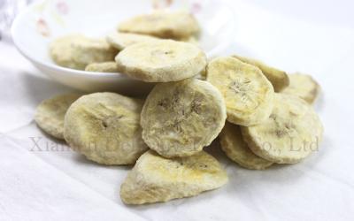 China Freeze Dried Organic Bananas Slices Bulk as Healthy Fruit Snacks for Kids for sale