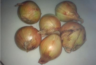 China Non-Peeled Yellow Natural Fresh Onion With Sweet Flavour Contains Water, Sugar, More resistant to storage,transportation for sale