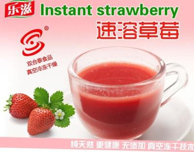 Chine poudres instantanées lyophilisées naturelles de fruit de fraise de fruits à vendre