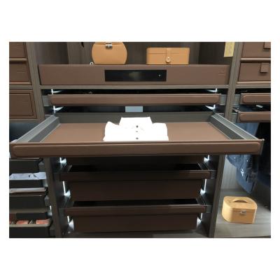 China Wardrobe E series Advanced Luxury Leather storage system watch necktie Jewelry Storage Box tray top end Leather Wardrobe Drawer for sale