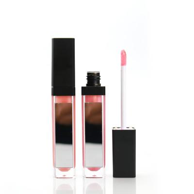 China Many colors free boxes with private label on tube and case, vegan lip gloss for sale