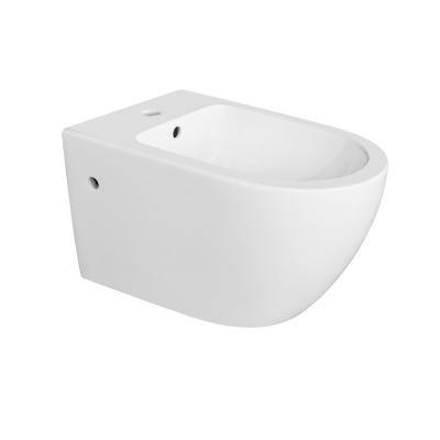 China Professional Manufacturer Europe Bathroom Ceramic Fully Concealed Wall Mounted Bidet Fixture for sale