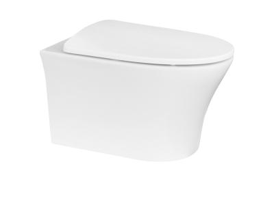 China Double-Flow Recommended Lavatory Wall Hung Rimless Wc Pan For Floor Hung European Bathrooms for sale