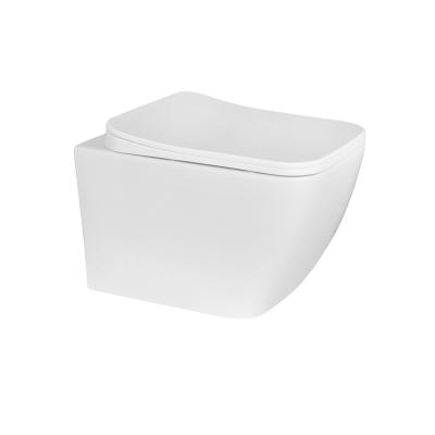 China Double-flush Guaranteed Quality Durable Unique Washdown Wall-hung WC Toilet for sale