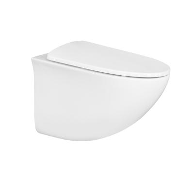 China Exquisite Double-Flow Structure Manufacturing Ceramic WC Wall Hung Washdown Toilet for sale