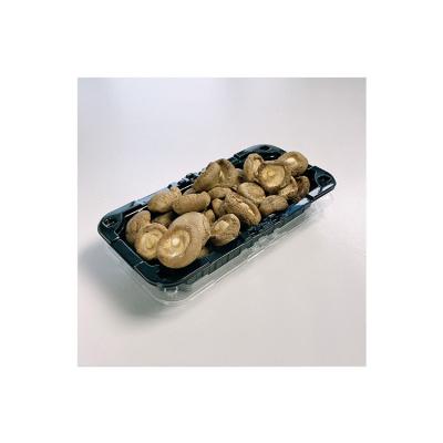 China New Arrivals Good Quality Dried Organic Thicker Shiitake Mushrooms Price for sale