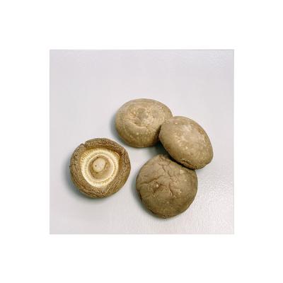 China Factory sale premium dried shiitake mushroom various crispy prices for sale