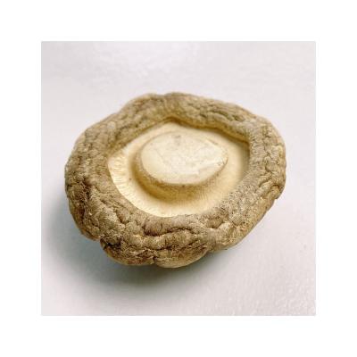 China Premium quality dry widely used chinese organic dry shiitake mushroom for sale