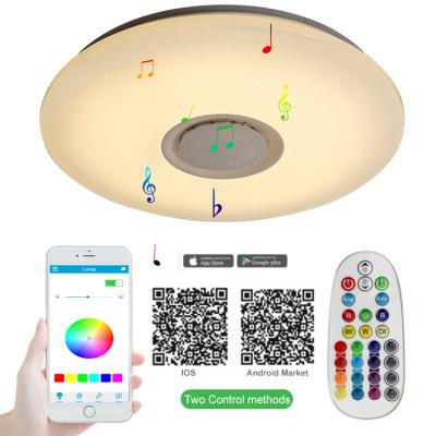 China Modern Modern Kitchen Bathroom Corridor APP Control Decor Fixture Smart Music RGBW LED Outdoor Mounted Ceiling Light for sale