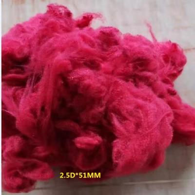 China 2.5Dtex*51mm Solid Bright Red Recycled color polyester staple fiber for Filling Material, Non-Woven Fabric, Spinning for sale