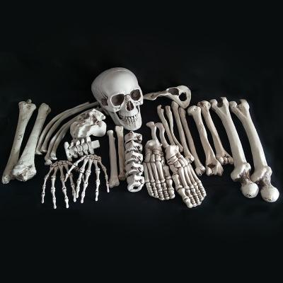 China 28pcs Artificial Garden Decoration Plastic Human Skeleton Bones Bag for sale