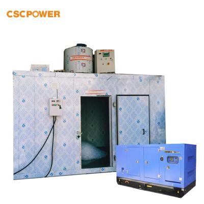 China Fresh-keeping Guinea CSCPOWER Industrial Flake Ice Machine 5 Ton With Cold Storage Room Cheap Price for sale