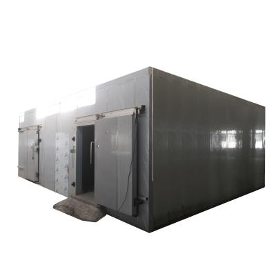 China Hotels blast freezer cold storage frezeer room for vegetable seafood meat for sale