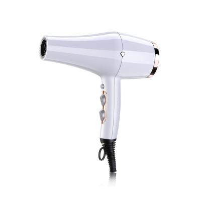 China Other Private Label Wholesale 360 ​​Blows High Speed ​​Diffuser Infrared Hair Dryer For Hotel Salon Professional Hair Dryer for sale