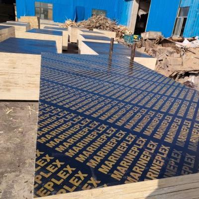 China Industrial 1250*2500mm super quality film faced plywood for europe market1250*2500mm super quality film faced plywood for europe market for sale