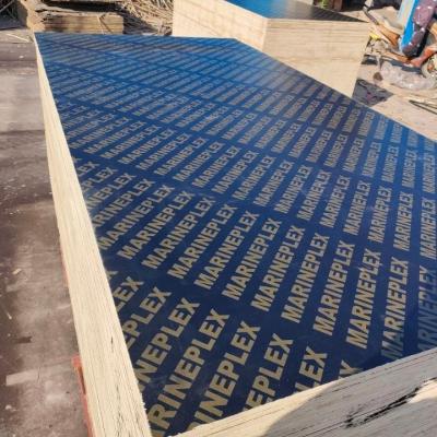 China Shandnog Linyi Factory Good Quality 18mm Industrial Hot Selling Marine Plywood 4X8ft for sale