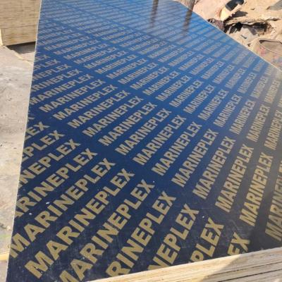 China Industrial Black 18mm Film Marine Plywood For Concrete Formwork for sale