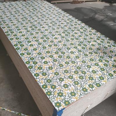 China 1220*2440mm modern arabic style paper faced plywood, commercial plywood for furniture for sale