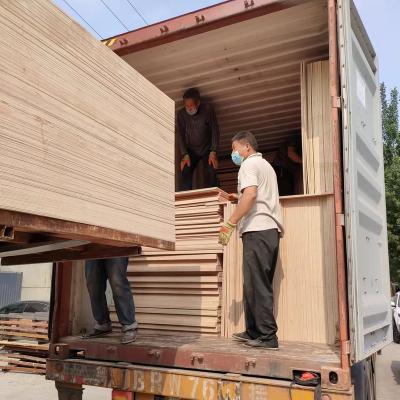 China 4mm/6mm/9mm/12mm/18mm modern commercial plywood for sale