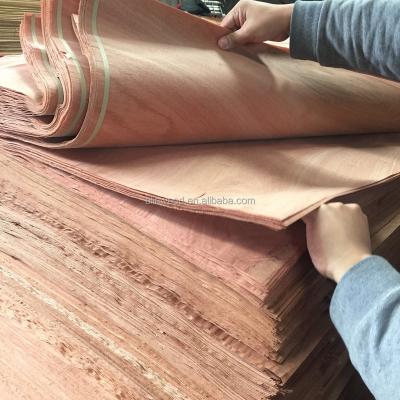 China Linyi GUW Plywood, SAPELE, RED COLOR HARDWOOD VENEER for sale