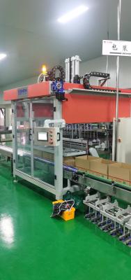 China 2 Heads Auto Box Packing Machine , Two Axis Bottle Carton Packing Machine for sale