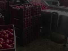 Condensed fruit juice/tomato paste processing production line
