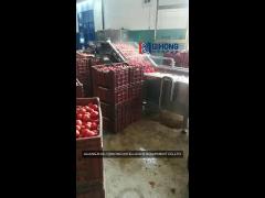 tomato sauce and paste making production line, brix of finished products and production capacity can