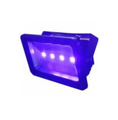 China Theme Park 10W 20W 30W 50W 100W 150W 200W to 500w Stage Lamp IP65 365NM 395NM 400nm UV Light Black Purple UV Flood Light Manufacturer for sale