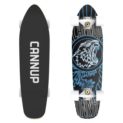 China Canadian Youth Fish OEM Service 100 Maple Skateboard Decks Surf Skate Truck Surf Board Fish for sale