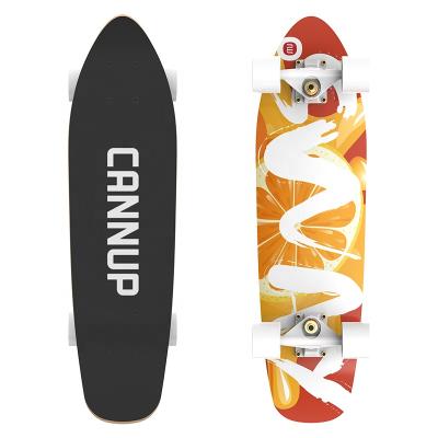 China Youth Customized Land Surf Patina High Quality 7 Layer Professional Canadian Northeast Maple Surfboard Fish Board for sale