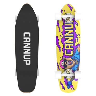 China Youth Customized Professional High Quality 7 Layer Northeast Canadian Maple Surfboard Land Surfboard for sale