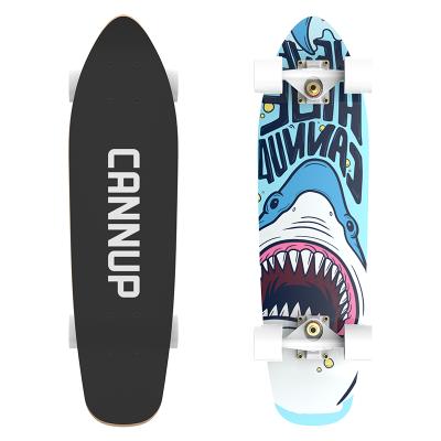 China Youth 2021 Hot Sale Skate Board Decks 7 Ply Wooden Skateboard Fish Skateboards for sale