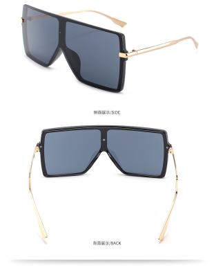 China New Big Square Glass DLL309 2021 Fashion Sunglasses DL Oversized Frame Shades For Women Vintage Sun Glasses Shape Custom Sunglasses for sale