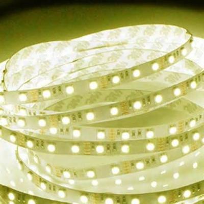 China Luz de tira flexível do diodo emissor de luz de SMD3528 IP20 5Colors com luminância alta em 3 anos de garantia à venda