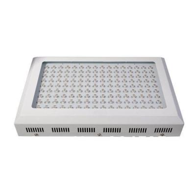 Cina Luci crescenti della pianta da 300 watt LED in vendita