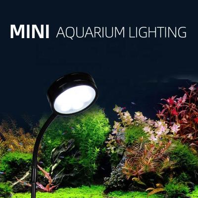 China 3W/5W LED Aquarium Light Viable Land / Aquatic Plant Lighting Coral Reef Fish Tank Freshwater and Saltwater Mini LED Micro Viewing Lamp for sale