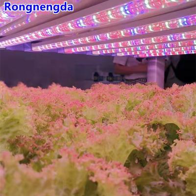 China Led Plant Grow Light Hydroponic Indoor Horticulture Plant Grow Light for sale