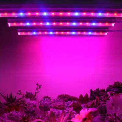 China Led Plant Grow Light Hydroponics Indoor Plant Growth LED Light Grow Light For Microgreens Plant Growth for sale